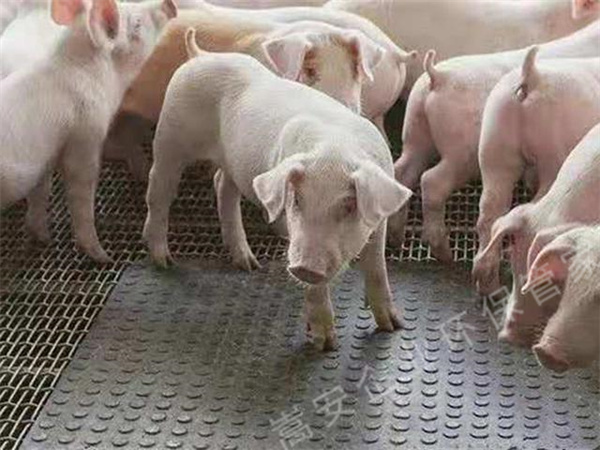 ̫ƽ�B(y��ng)ֳ��(ch��ng)����Ѭ�죬��(zh��)�����T֪ͨ��������